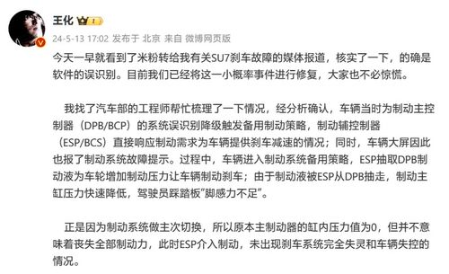 深度解析：苏闪的回响的功能及其在日常生活和职场中的重要应用价值