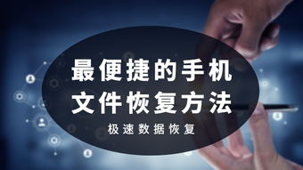 深度解析：苏闪的回响的功能及其在日常生活和职场中的重要应用价值