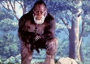 (灵猫的传说)神秘的灵猫传出了一场惊人事件的消息