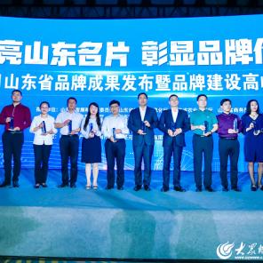 探索虚拟与现实的交汇点：《创造大陆的游戏》——如何通过科技与创新，重塑我们对地理空间的认知